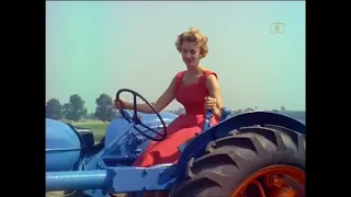 Look At Life Down on the Farm 1961