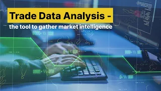 Trade Data Analysis - the tool to gather market intelligence