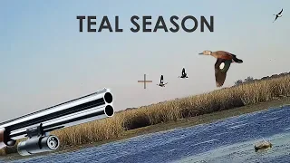 Duck Hunting Teal - 25 Kills - by ShotKam