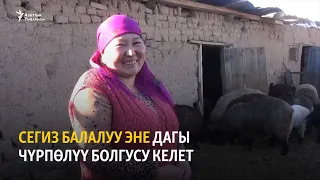 Сегиз балалуу эне дагы чүрпөлүү болгусу келет