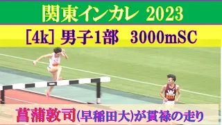 [4k] 菖蒲敦司　男子1部 3000mSC 決勝　関東インカレ2023　2023年5月14日