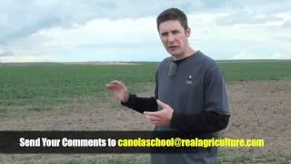 Canola School - How Do I Know I Have Cutworms?