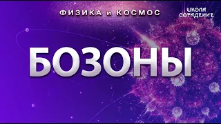 Бозоны. Физика и космос #Бозоны #ФизикаИкосмос #элементарнаяфизика #гарат #школаСорадение