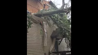 Tree Crashes Onto Home as 'Dangerous' Storm Rips Through Tallahassee