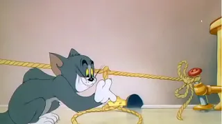 Tom and Jerry | Mouse Trouble 1944 | Clip 01