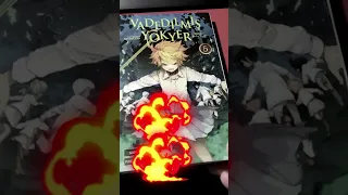 Manga Öneri: Vadedilmiş Yokyer!