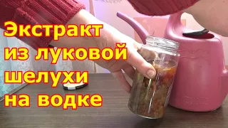 Экстракт из луковой шелухи (спиртовая настойка) - подкормка рассады и профилактика от вредителей