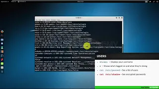 006 Управление пользователями и группами Kali Linux | Кали Линукс