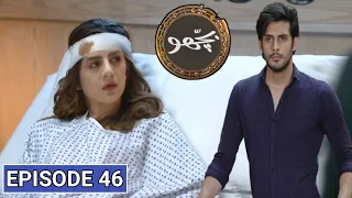 Bichoo Episode 46 Promo - Bichoo Episode 47 Review - Bichoo Episode 46  - Hum Tv