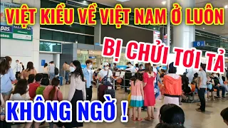 KHÔNG NGỜ ! VIỆT KIỀU VỀ VIỆT NAM Ở LUÔN BỊ CHỬI TƠI TẢ