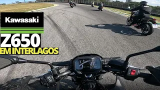 KAWASAKI Z650 2024 MODO RACING NA PISTA DE INTERLAGOS!