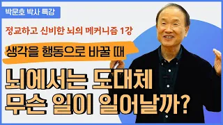 생각을 행동으로 바꿀 때 뇌에서는 도대체 무슨 일이 일어날까? │목표를 세우고 성취하는 인지조절의 뇌과학 이야기1