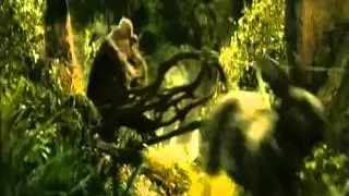 Hobbit - Niezwykła podróż (spot TV, dubbing)