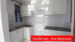 ( 14,000 ksh ) Spacious  & Affordable  Newly Constructed One Bedroom Apartment In Nairobi, Kenya.