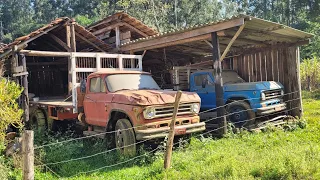 DOIS CHEVROLET D 68 ABANDONADOS Á 15 ANOS 👉 não quero mais esses caminhões vou vender logo