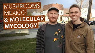 Mushrooms, Mexico, & Molecular Mycology with Alan Rockefeller