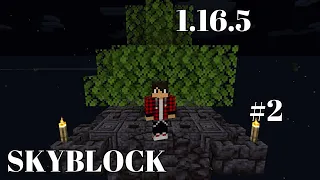 Lp. SkyBlock 1.16.5 #02 ферма дерева