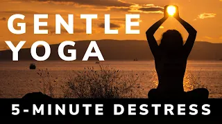 5 Minute Yoga for Beginners Practice for Stress and Anxiety Relief