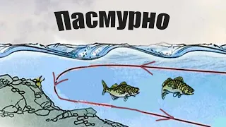 Почему в пасмурную погоду, бесполезно ехать на рыбалку?