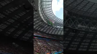 World cup soccer ⚽