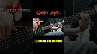 Guano Apes - Lords Of The Boards Bass cover #Shorts