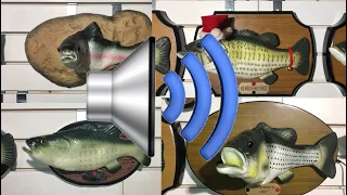 Singing fish audio rip compilation