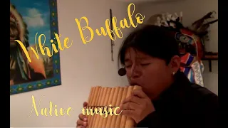WHITE BUFFALO - native music