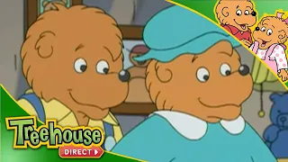 The Berenstain Bears | Father's Day Compilation! | Funny Cartoons for Children By Treehouse Direct