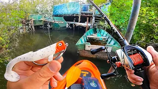 Cette technique fait sortir des poissons énormes et on n'était vraiment pas prêt !!!