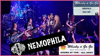 NEMOPHILA - Live at Whisky a Go Go | My mom enjoyed it | #Shreddawg