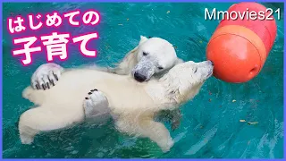 Polar Bear mother and daughter first summer