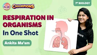 Respiration in Organisms Class 7 Science (Biology) in One Shot | BYJU'S - Class 7