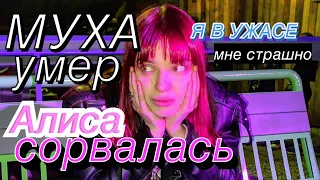 МУХА УМЕР и АЛИСА СОРВАЛАСЬ | как происходит срыв? 11 ФАЗ СРЫВА