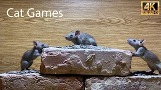 CAT Games - Mice Video For Cats To Enjoy - Entertainment Video For Cats