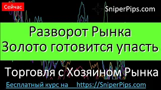 Разворот Золото, Доллар или Биткоин?  https://sniperpips.com курс по трейдингу бесплатно