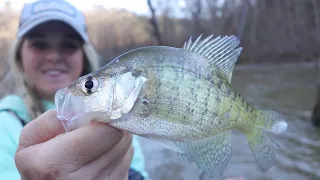 We Caught Crappie EVERY SINGLE CAST in FLOODED RIVER!!!!