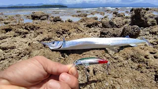 Tandol Minnow I Samal Island Fishing and Adventure