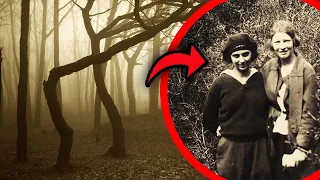 Real Haunted Forests In The World You Should Never Explore