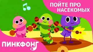 Жизнь насекомых | Песни про насекомых | Пинкфонг песни для детей