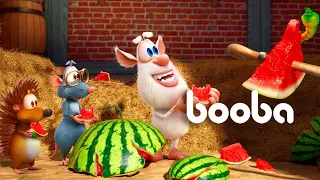 Booba ⭐ Neue 🌞 Wassermelone 🍉 Alle Episoden in Folge ⚡ Cartoons online ✨ Lustige Cartoons für Kinder