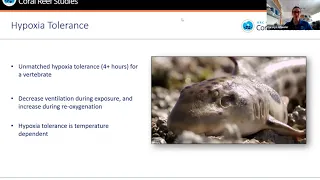 Epaulette Sharks as an Indicator Species for Climate Change: Current Knowledge & Future Directions