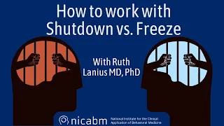 How to work with Shutdown vs. Freeze – with Ruth Lanius, MD, PhD