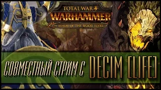 Total War: Warhammer - Клан Ангрунд и Аргвилон Совместный стрим