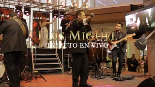 SOMOS NOVIOS - TRIBUTO LUIS MIGUEL