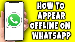 How to Appear Offline on WhatsApp (2023)