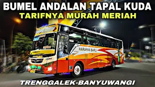 Bus Bumel Andalan Tapal Kuda ❗️ Tarifnya Murah Meriah ❗️| trip HARAPAN BARU “ Tanjung Wangi “