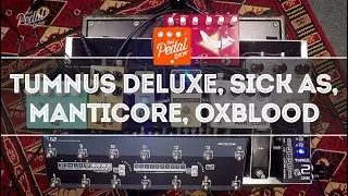 That Pedal Show – Beyond The Klon Centaur: Tumnus Deluxe, Oxblood, Manticore and Sick As Overdrives