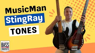 MusicMan StingRay Bass TONES [I LOVE this bass…]