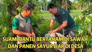 BEGINILAH KEHIDUPAN KAMI DI DESA I: KERJA DI SAWAH,  PANEN SAYUR LIAR & LANGSUNG DI MASAK