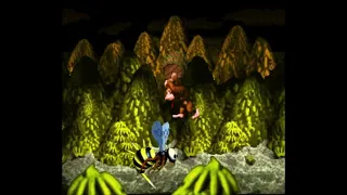 Donkey Kong Country Playthrough (#2)